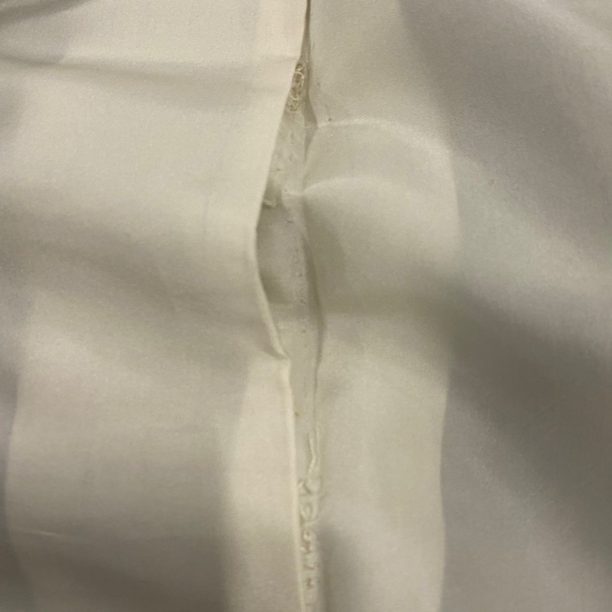 葉柄 茶色