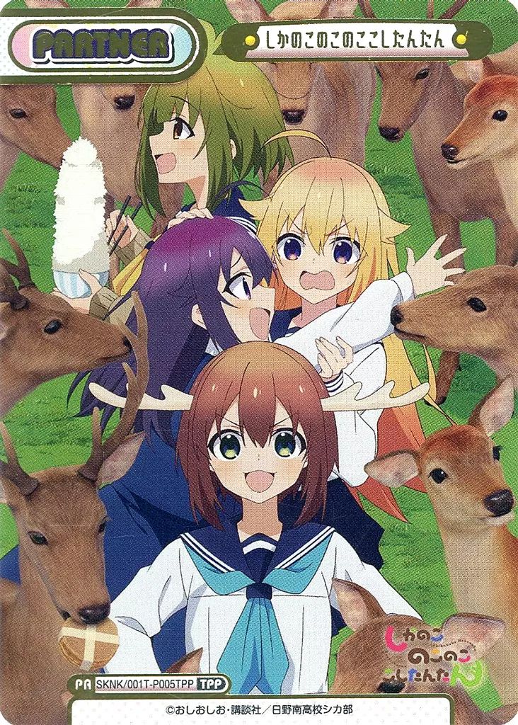 Reバース 001PP のこたん しかのこのこのここしたんたん 中古】Reバース for you SKNK/001T-P005TPP[TPP]：しかのこの