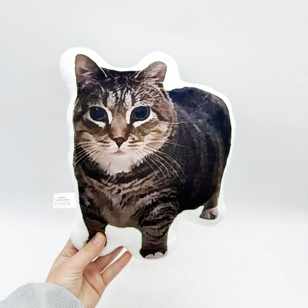 メル猫様尃用 宇宙船型ベッド左開き ガンマ オーク MYZOO マイズー 猫用室内