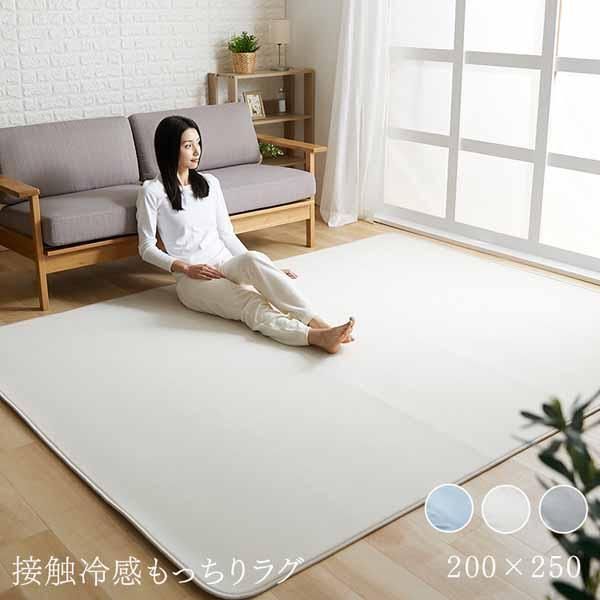 ラグ カーペット 夏用 夏 接触冷感 ひんやり 冷感 ラグマット 3畳 北欧 厚手 おしゃれ 200×250 涼感 抗菌防臭 200×250cm D