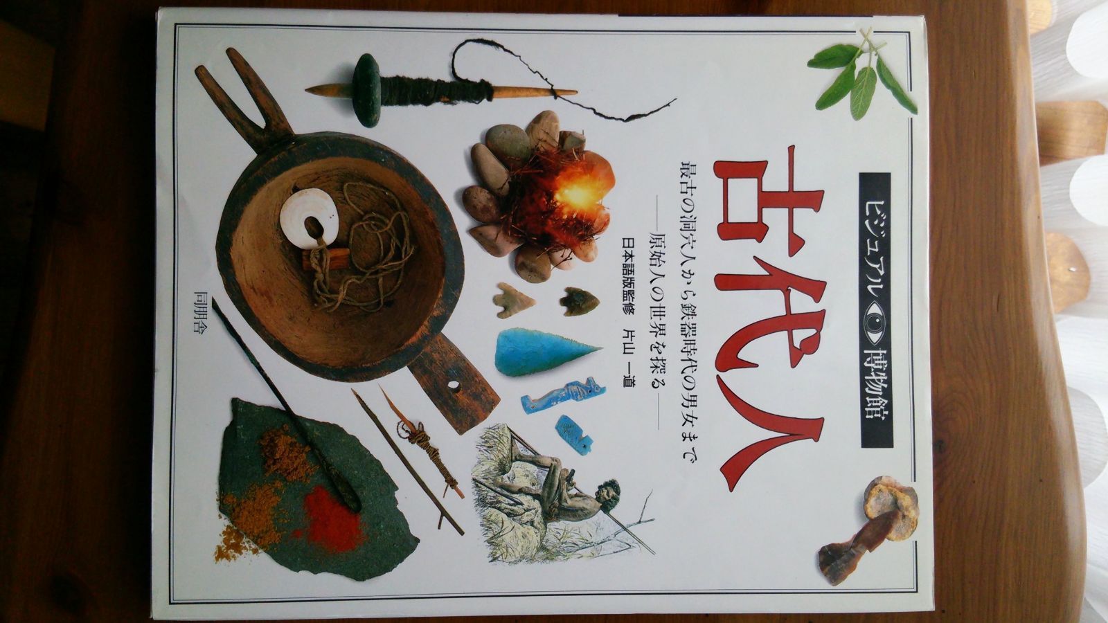 ビジュアル博物館 第14巻