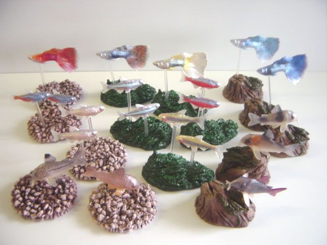 ★Gfg23GzデジタルグレードDG熱帯魚フルコンプ全15種 ☆Gfg23GzデジタルグレードDG熱帯魚フルコンプ全15種 - メルカリ