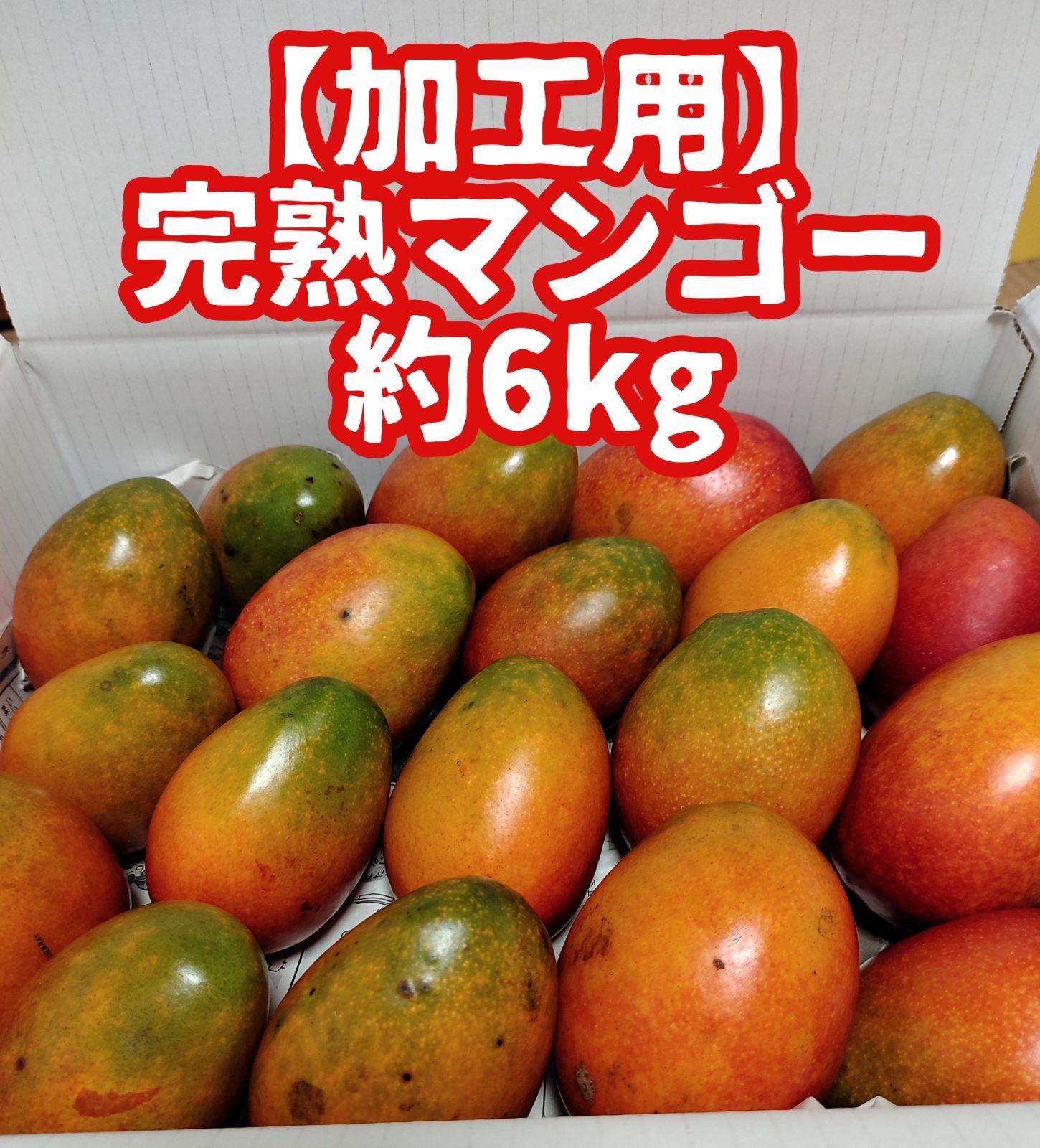 完熟梅10キロクール便 小さから