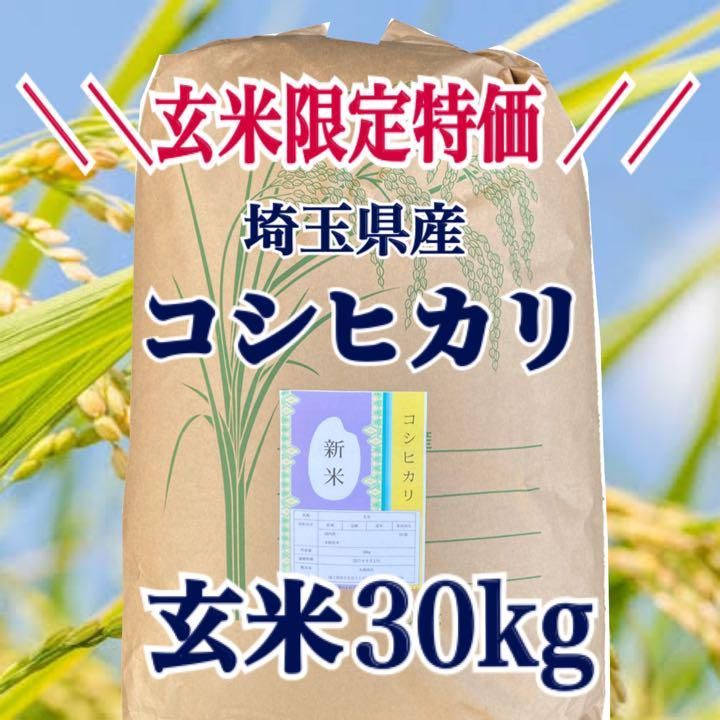 米 30kg コシヒカリ 玄米 30kg×1袋 令和4年産 福島県産 こしひかり