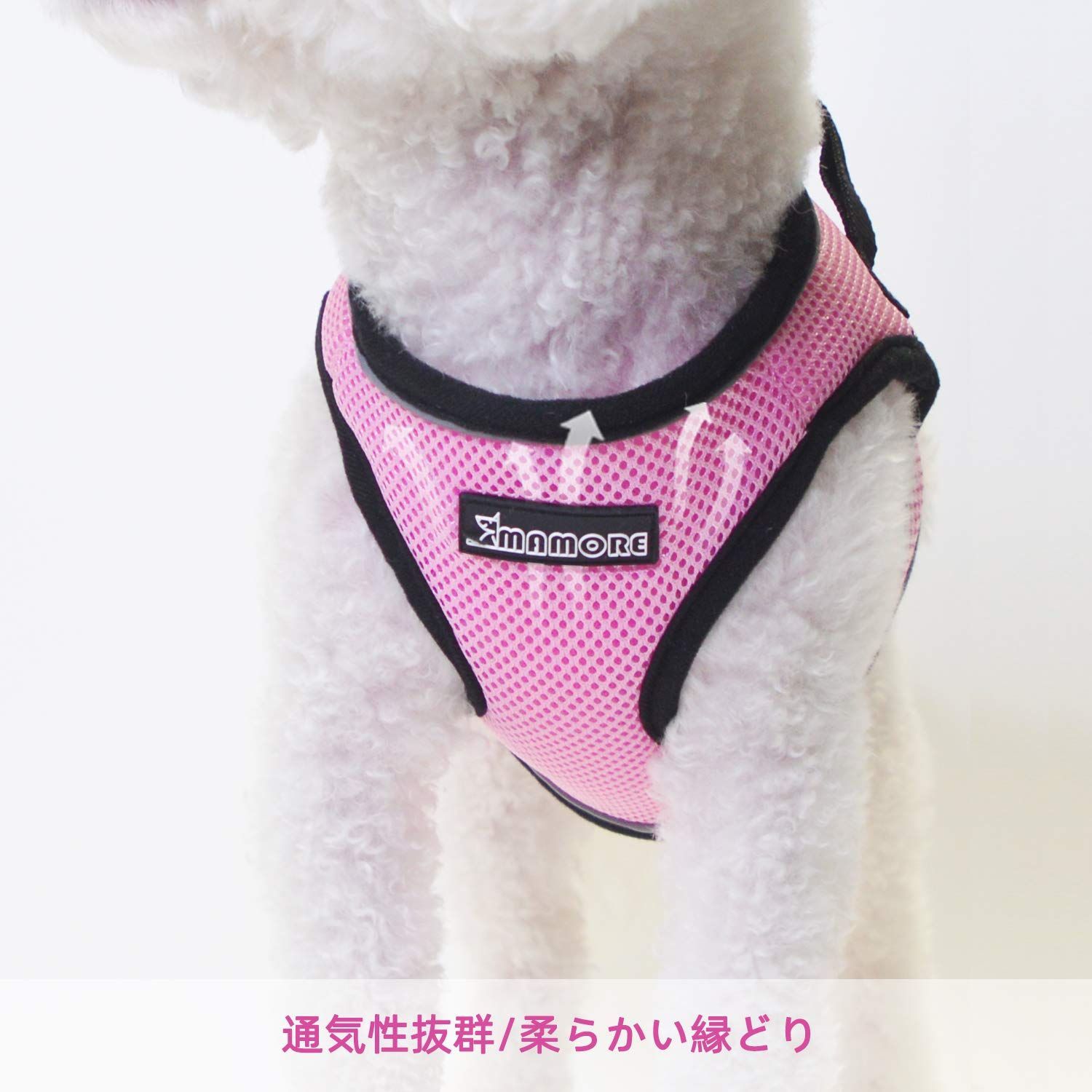 小型犬 中型犬