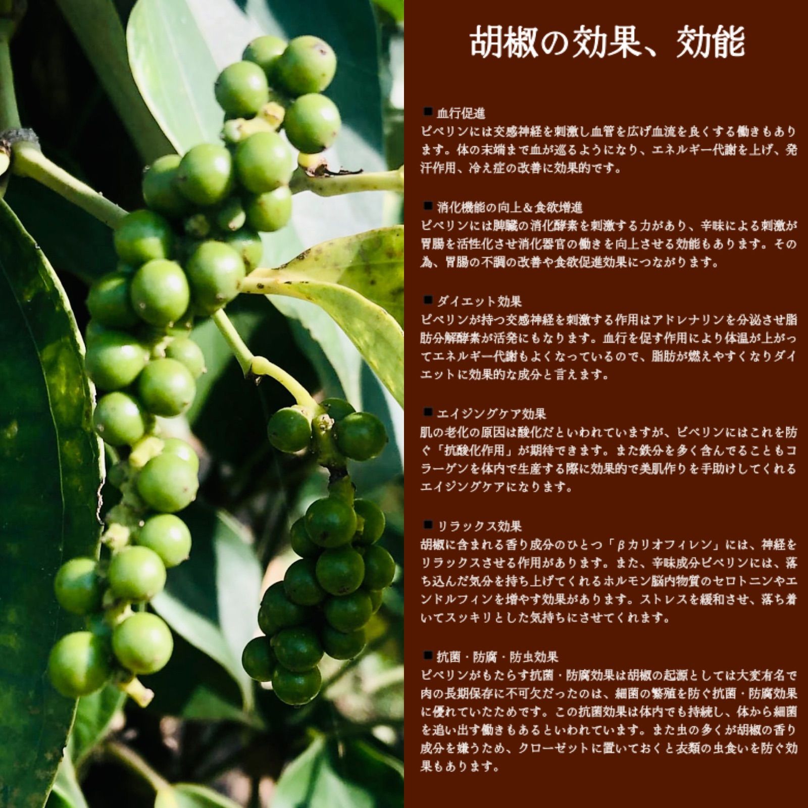 黒 胡椒 効能