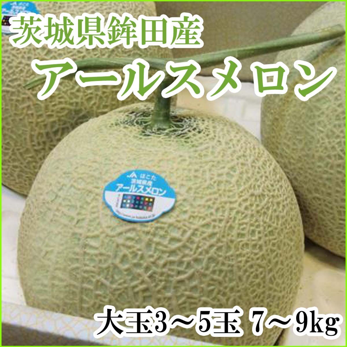 メロン JAほこた アールスメロン 茨城産 高級マスクメロン 大玉3