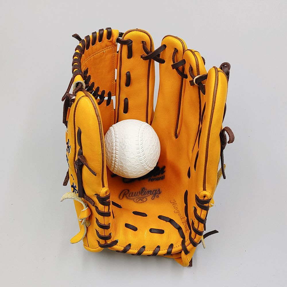 型付け済み Rawlings