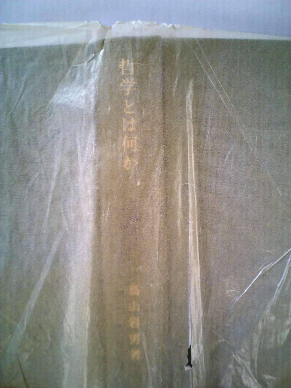 哲学とは何か 1967年
