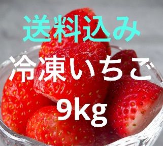 冷凍いちご　9kg 冷凍イチゴ とちおとめ 9kg (1.5kg×6袋） 【公式通販】