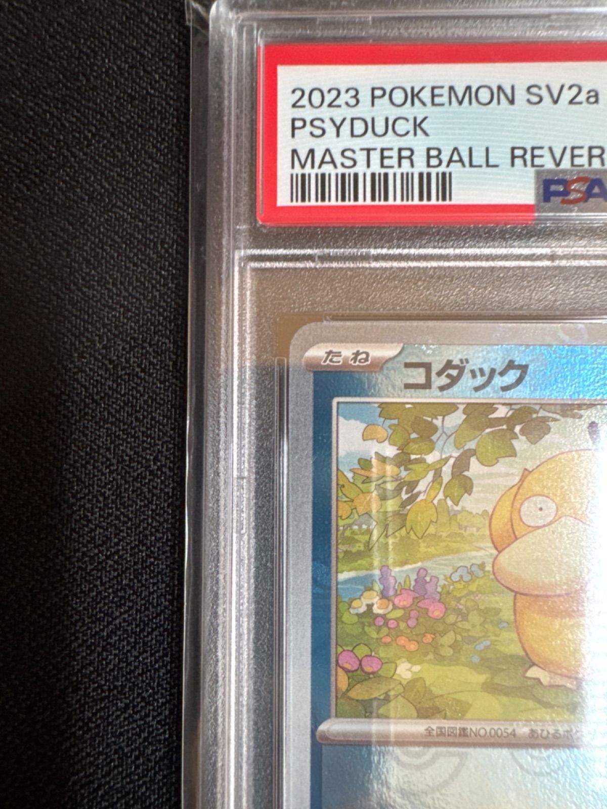 【最安値】コダック マスターボール ミラー PSA10