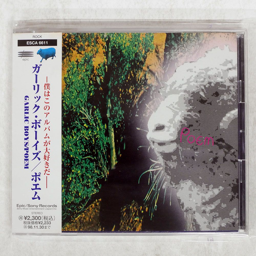 国内盤 ガーリックボーイズ/ポエム/EPIC ESCA6611 CD □ - メルカリ