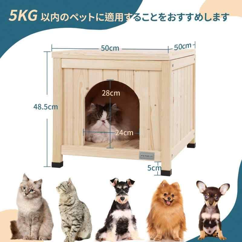 安全 杉