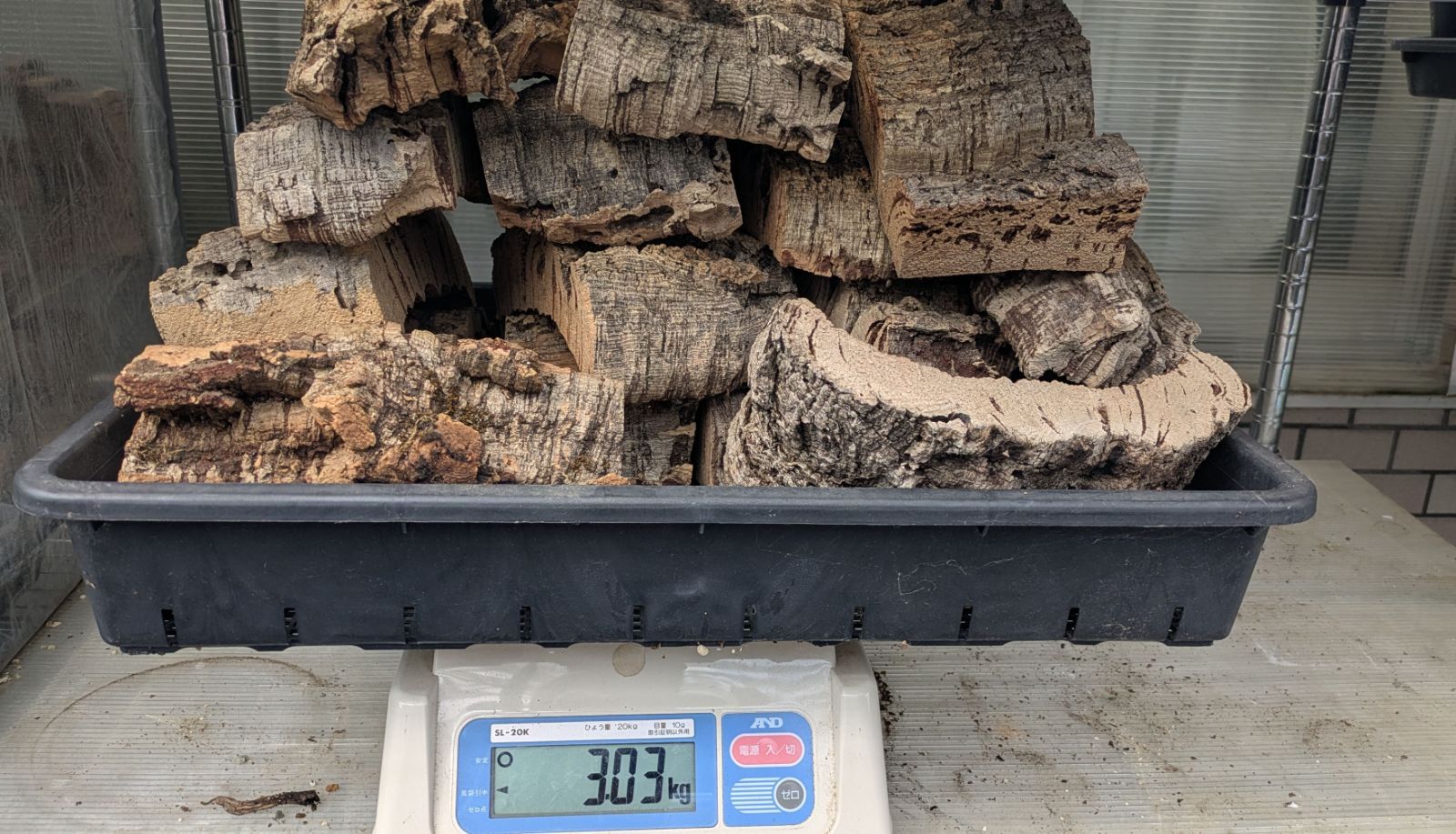 ポルトガル産 上質 コルク 3ｋｇ 樹皮 厚