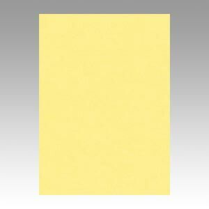 （まとめ） 色画用紙 文運堂 ニューカラーＲ クリーム 4NCR-101 4954022641016 1冊【×5セット】
