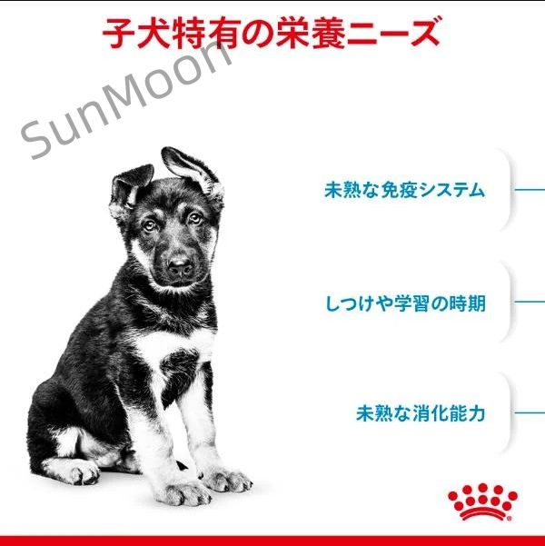 サイズ ヘルス