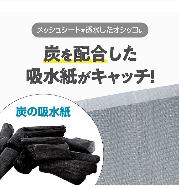 速攻吸収 超消臭