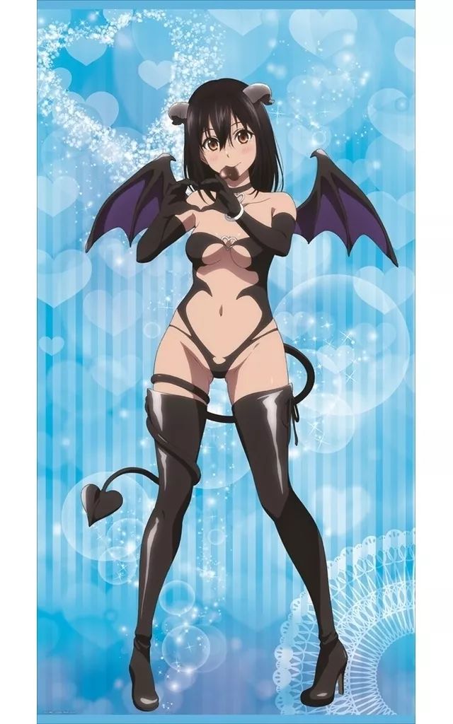 タペストリー 大型 1 姫柊雪菜 描き下ろし等身大タペストリー 小悪魔ver. ストライク ザ ブラッド FINAL