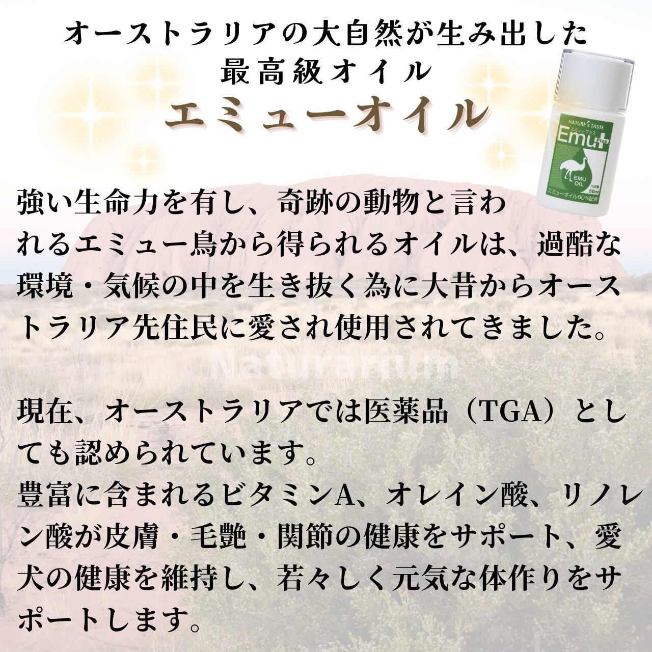ペット