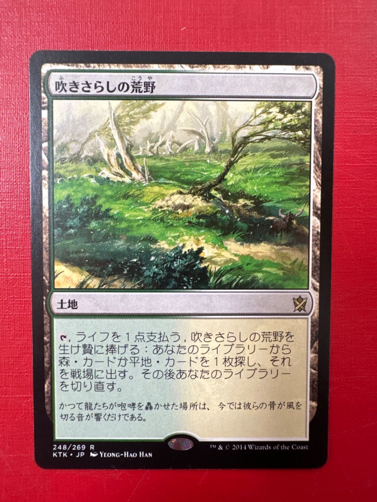 MTG 《吹きさらしの荒野/Windswept Heath》【foil】 ONS 英語 - ゲーム