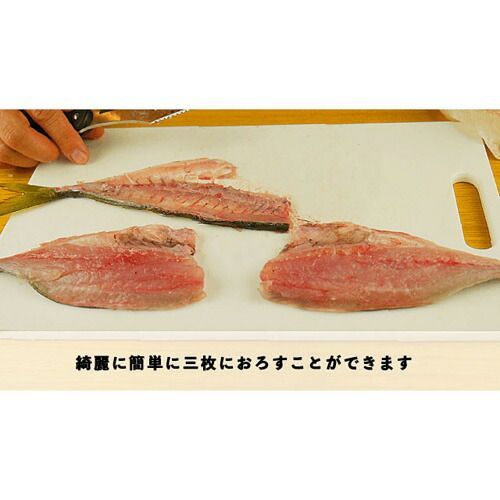 サカナイフ シャープナーセット