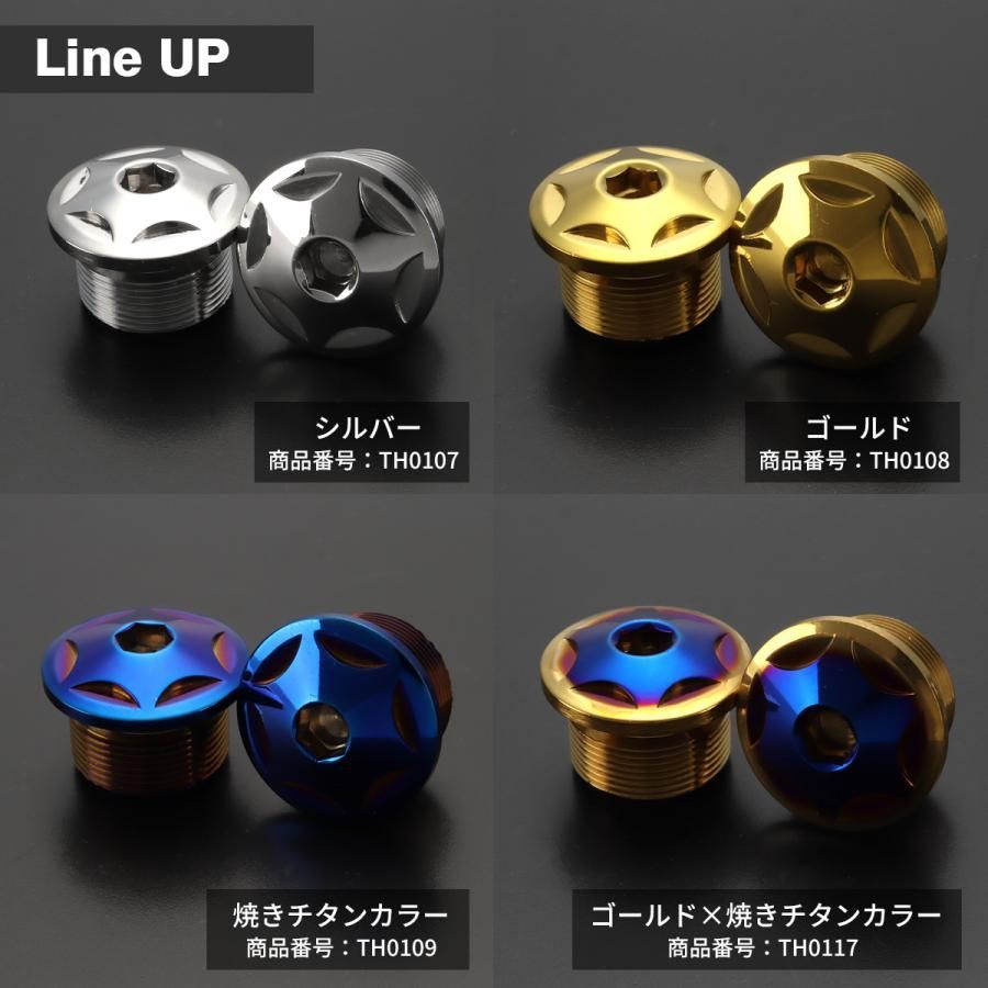 フロントフォーク トップ キャップ ボルト M20×10mm 左右セット ステンレス製 焼きチタンカラー TH0109 - メルカリ