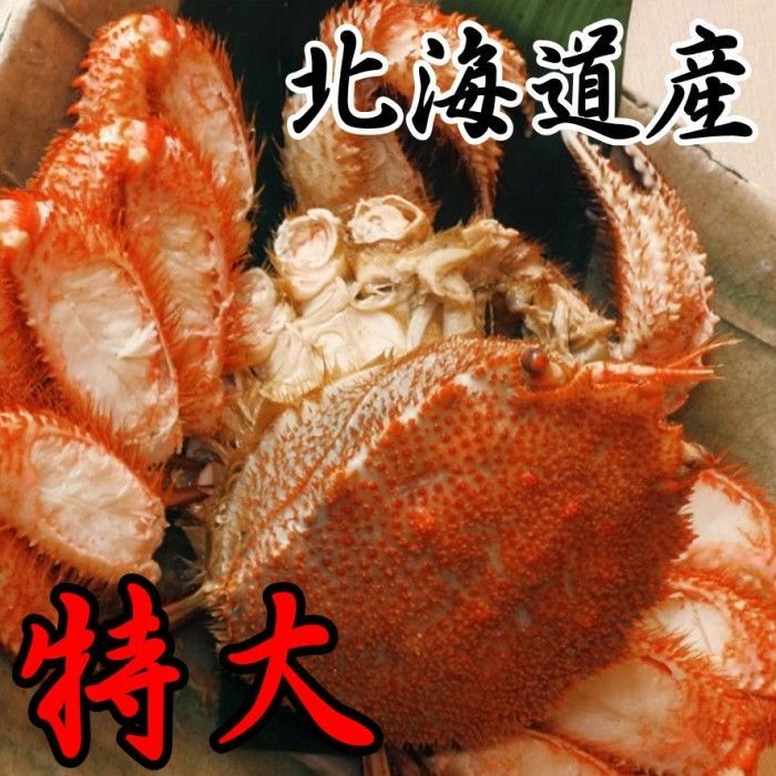 【ジャンボ！】特大毛蟹　1尾（800～900ｇサイズ）　北海道産　ボイル　付け足　毛がに　けがに　ケガニ　母の日　父の日　お中元　お歳暮　フードロス　蟹　かに　毛がに