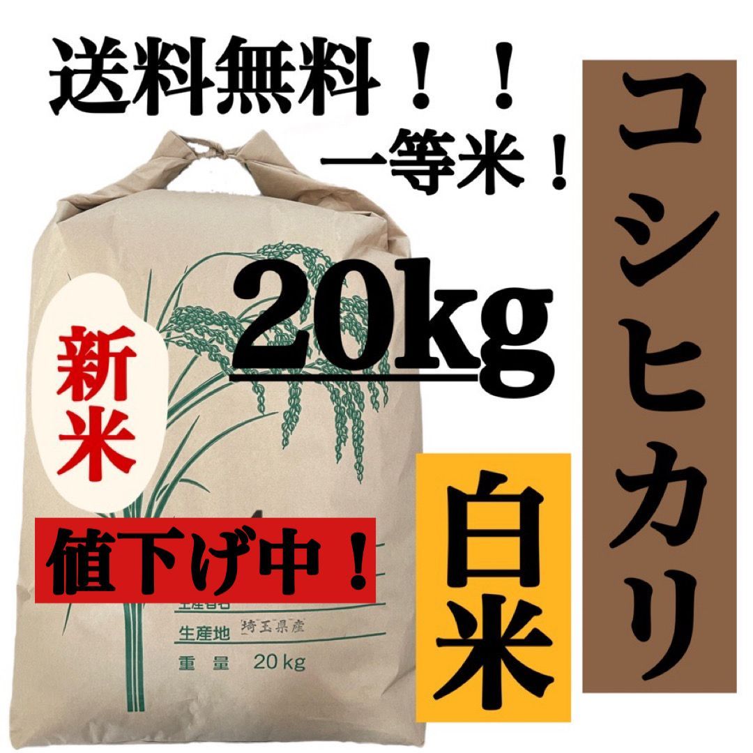 白米20kg コシヒカリ新米埼玉県産令和4年産送料無料米20キロ