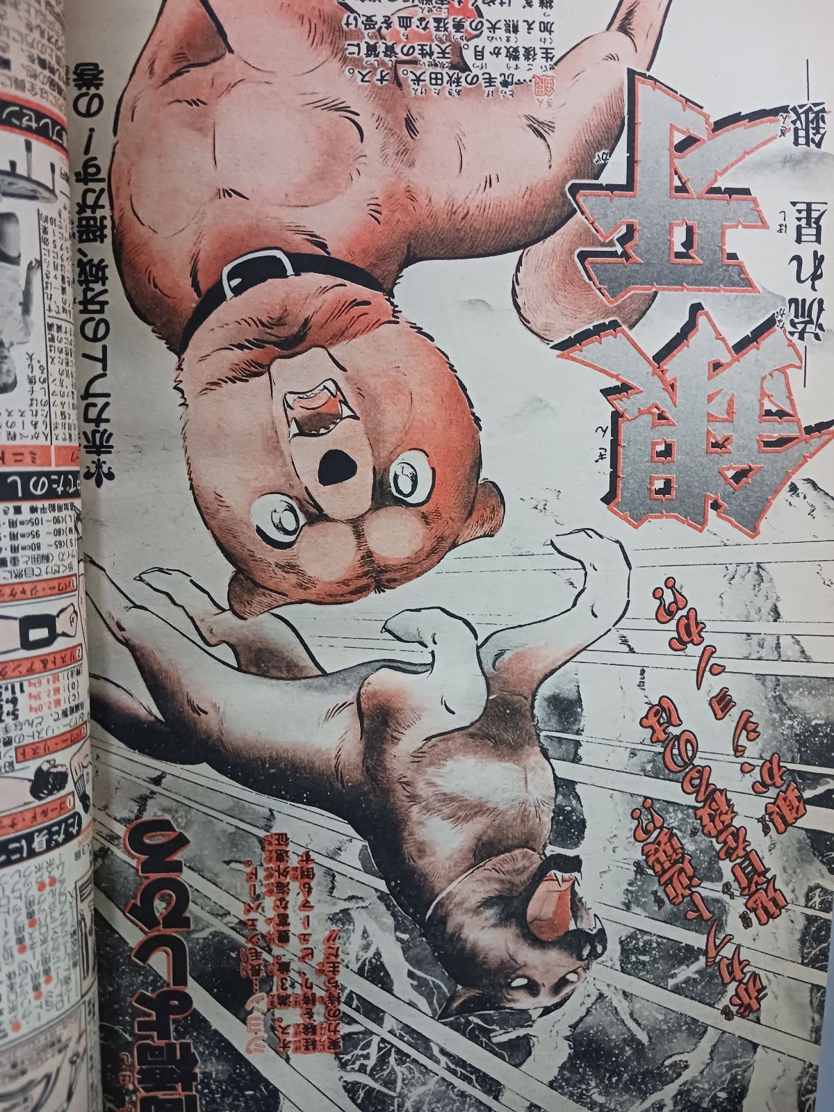 週刊少年ジャンプ1984年11月26日号 週刊少年ジャンプ 1984年11号 - メルカリ