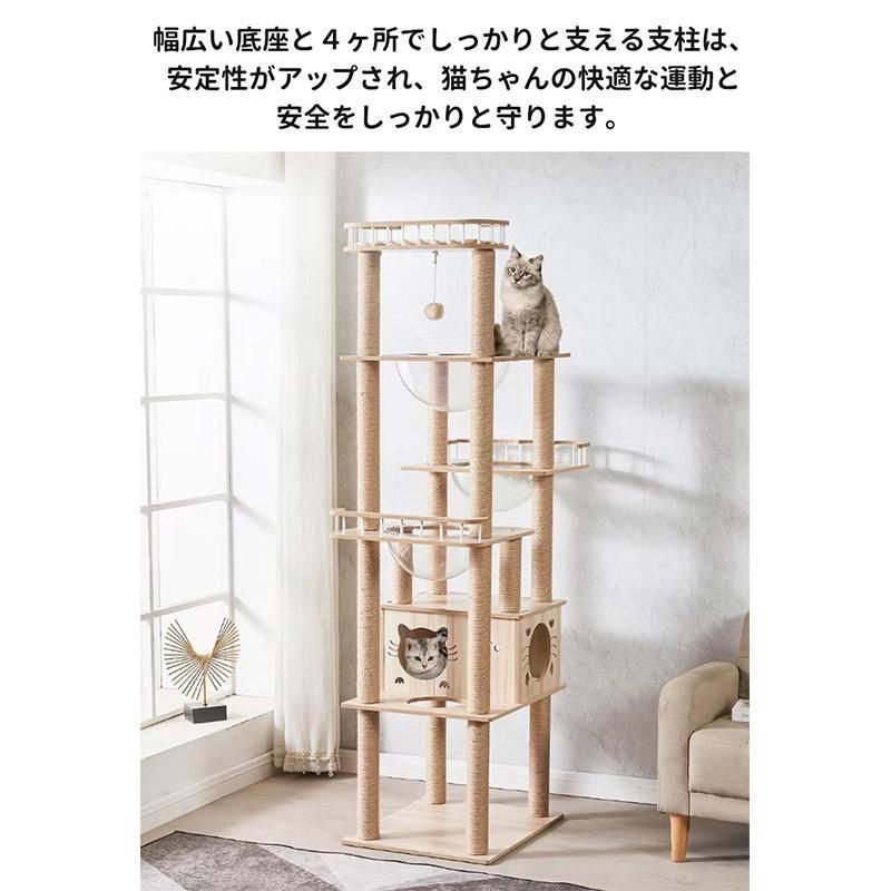 猫用
