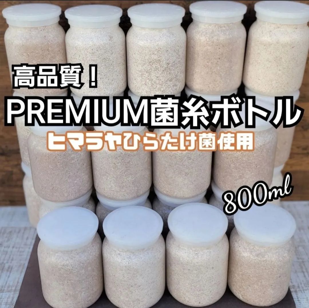 極上！ヒマラヤひらたけ菌糸瓶1500ml【6本】トレハロース、キトサン