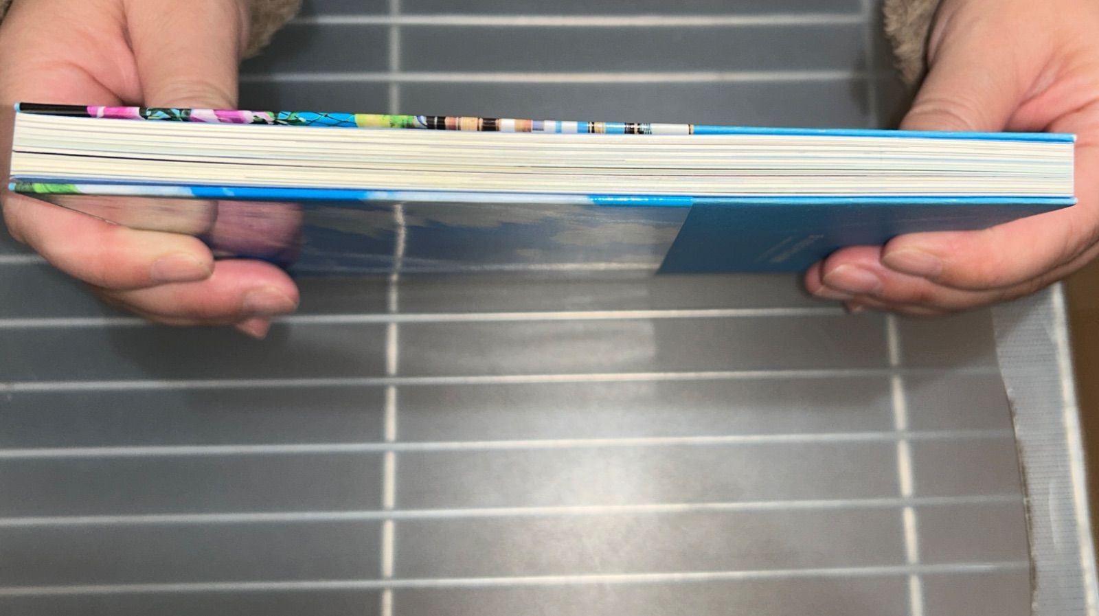 ぼくのなつやすみ美術館: Summer Holiday20th Century 草薙; 綾部 和