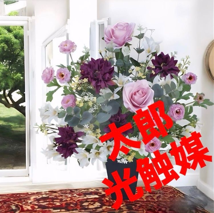 No.562 ❁ピーチデーモン❁ 現品 苗 多肉植物 寄せ植え No.562
