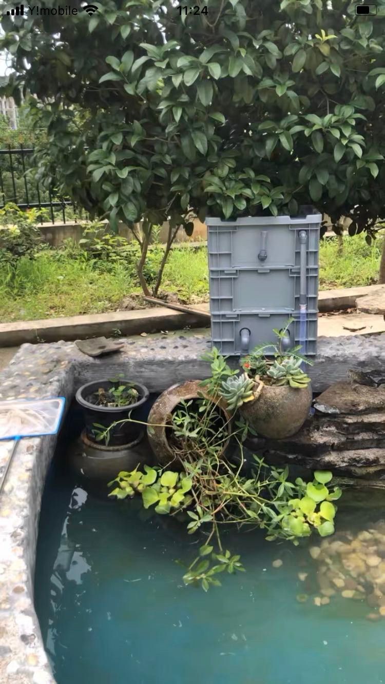 45w水中ポンプ付き蓋あり池フィルター万能濾過装置 池フィルター当日