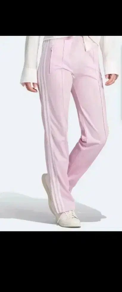 スパイア バード