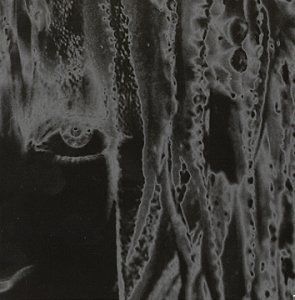 Crimes Against Nature(品)