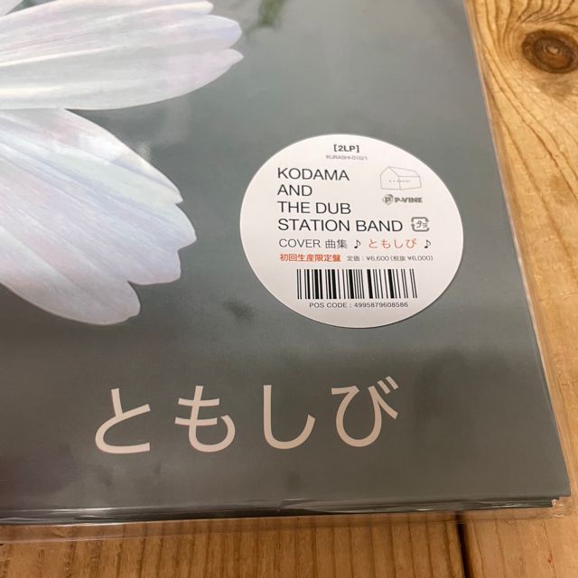 KODAMA AND THE DUB STATION BAND レコード KODAMA AND THE DUB STATION BAND 