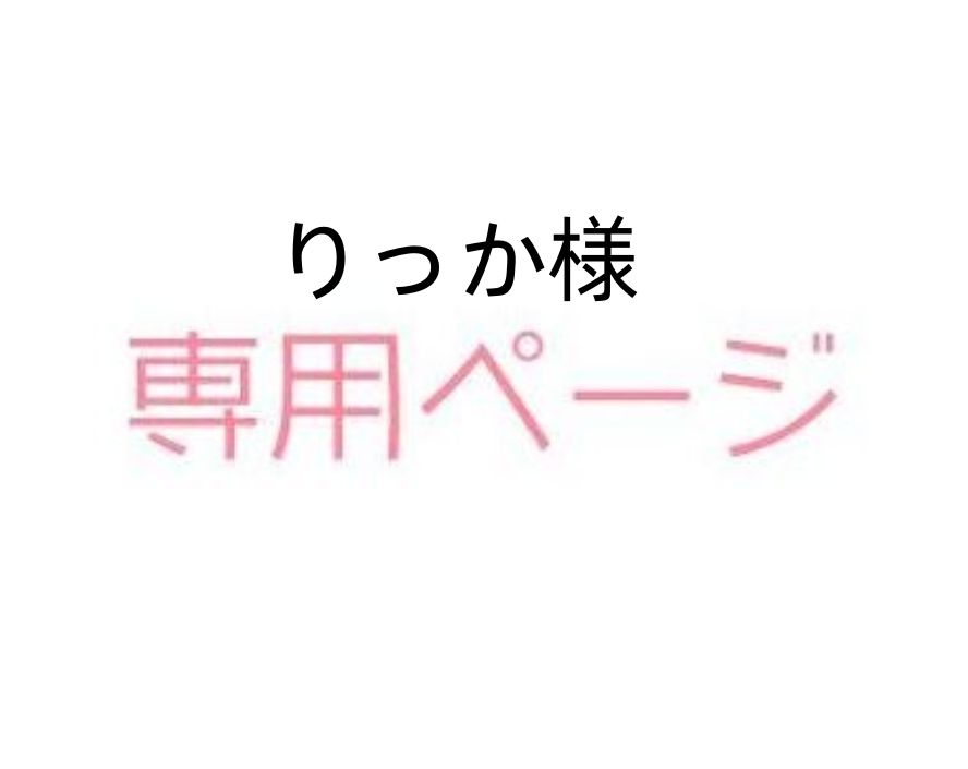 売り出し割引 六花様専用ページ - その他