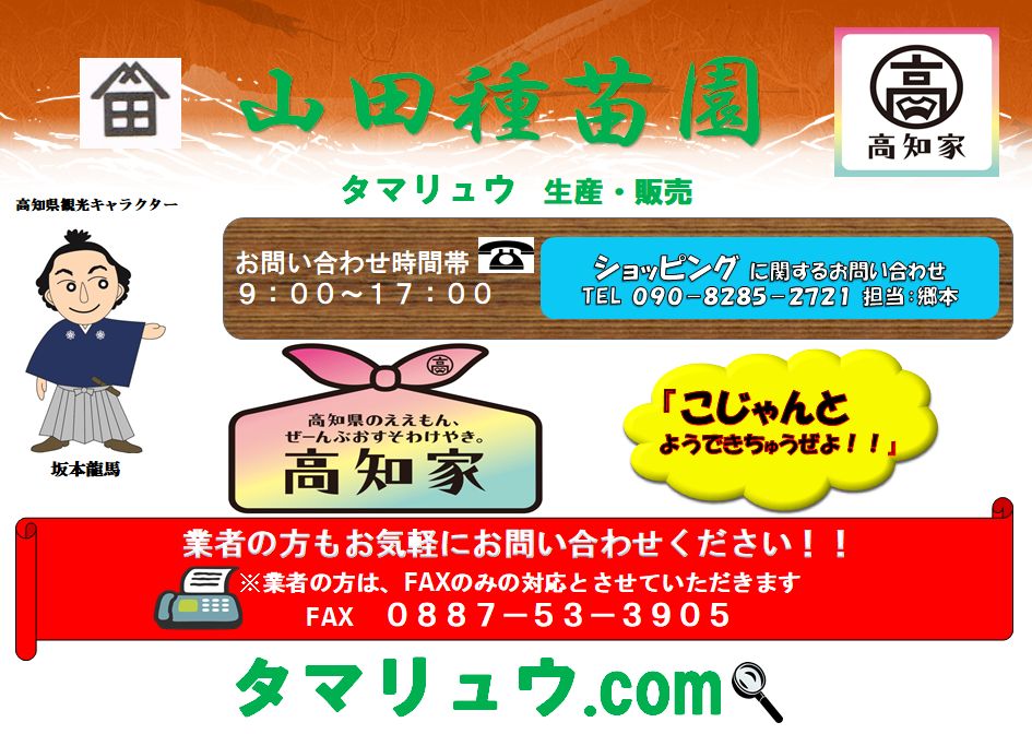 玉竜 たまりゅう
