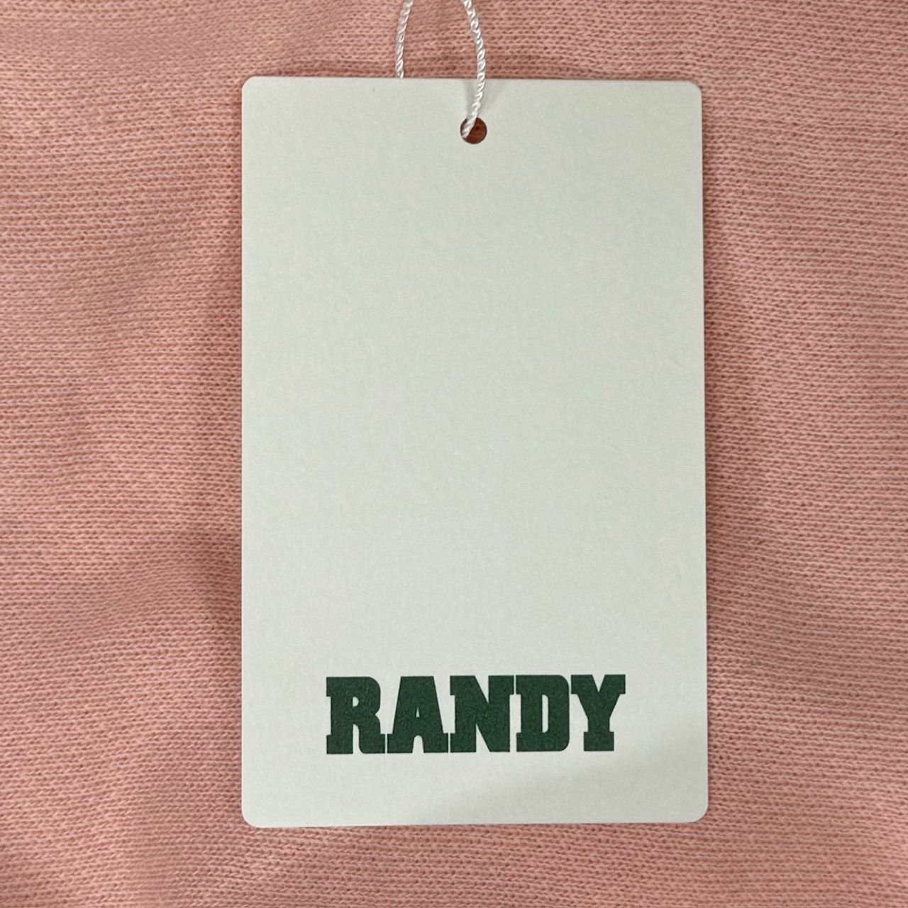 定価52800円 新品 Randy 24SS WATER TOWER LEAK ウォータータワー