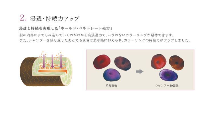 決算の為、在庫処分 33本セット☆プロ専用！業務用 ☆hrf ヘアカラー