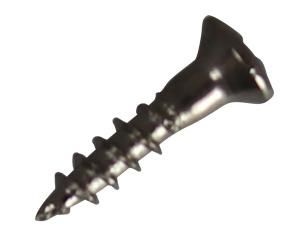 5営業日で発送 福井金属工芸 6798 鉄木ネジ丸皿頭2.1×10