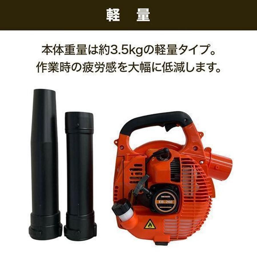 枯れ葉 吹き飛ばし