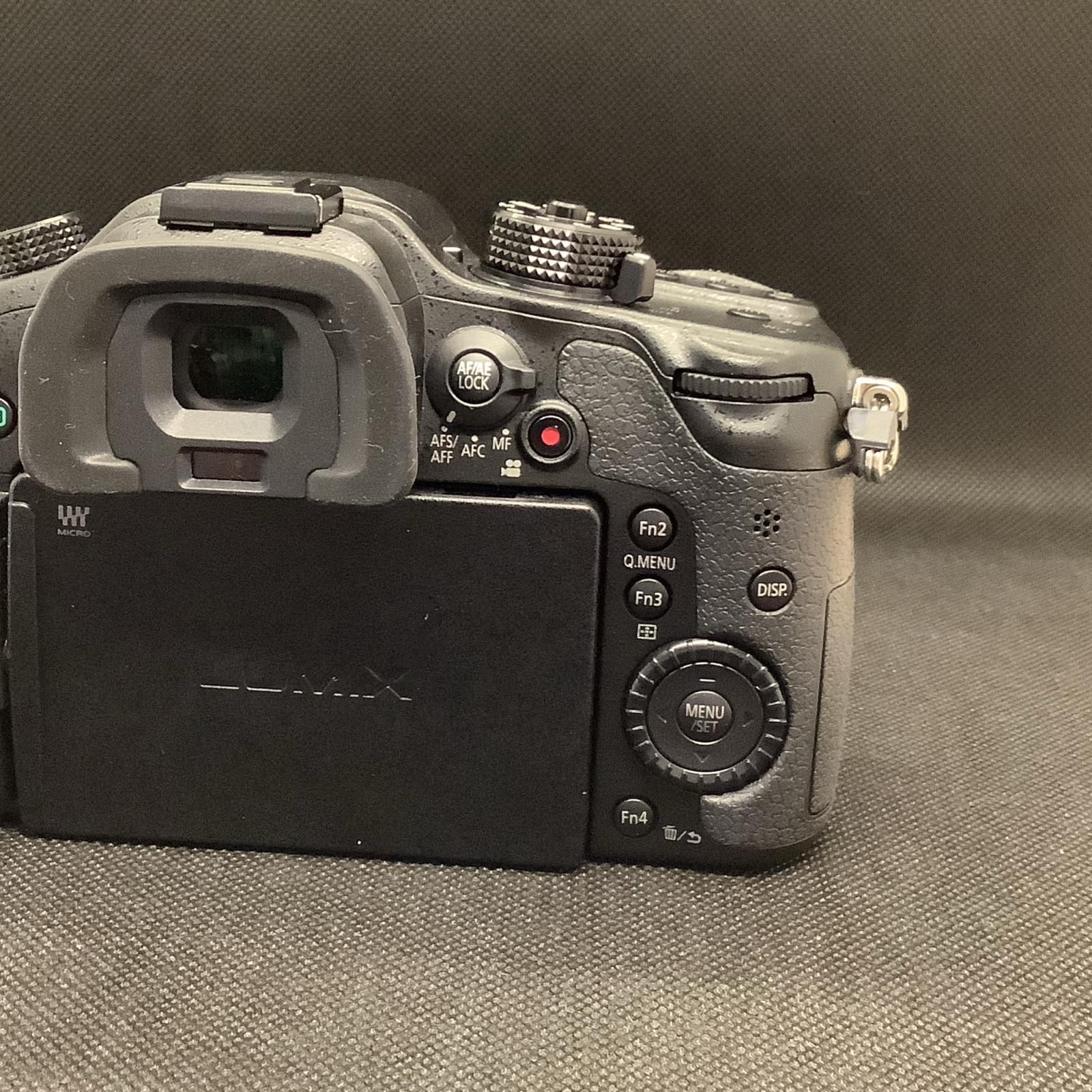 Panasonic