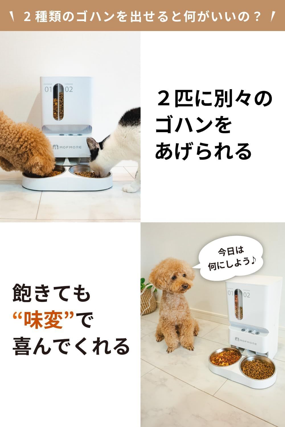 餌 自動