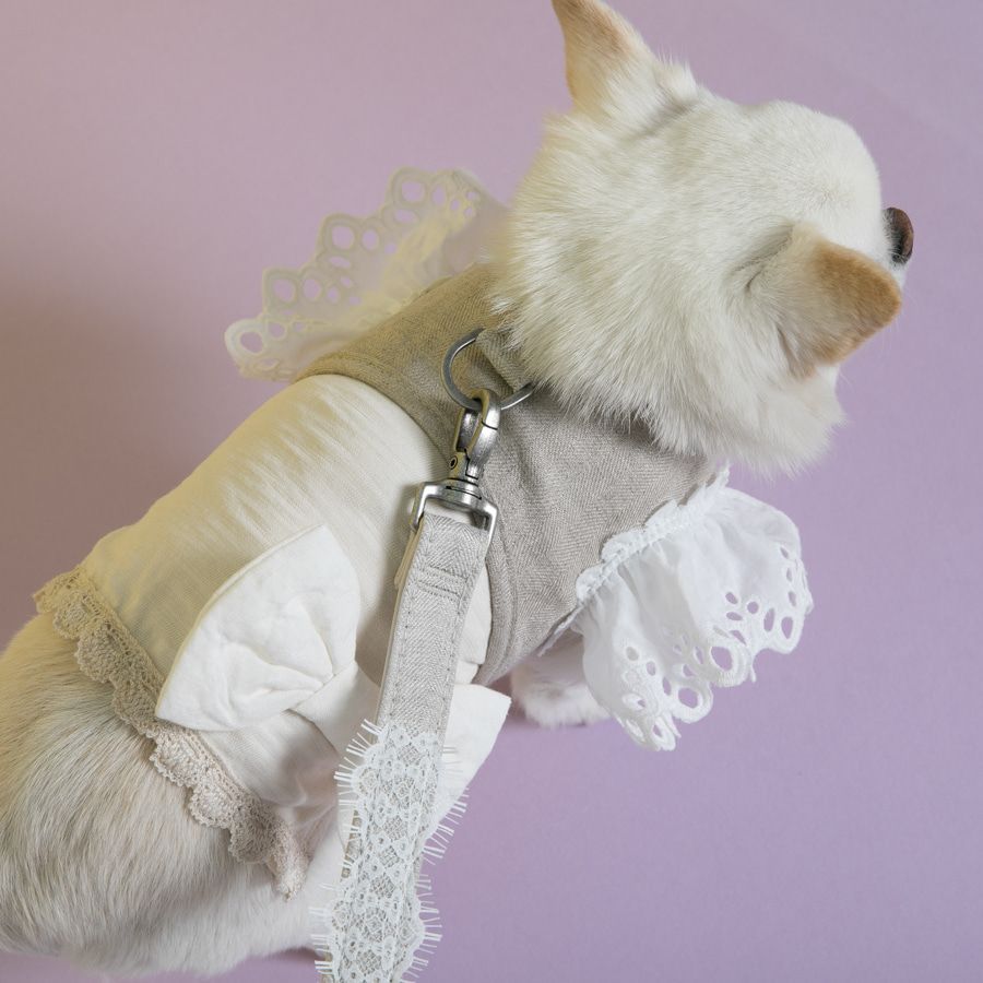 louisdog