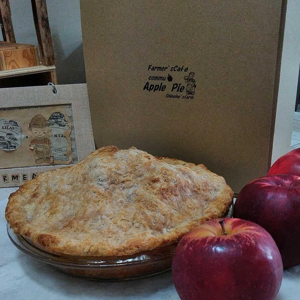 けんちん様専用】農家手づくりアップルパイ＆チェリーパイ - りんご