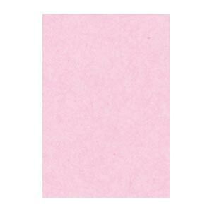 リンテック ニュー Ｒ 8 NCR 218 さくら