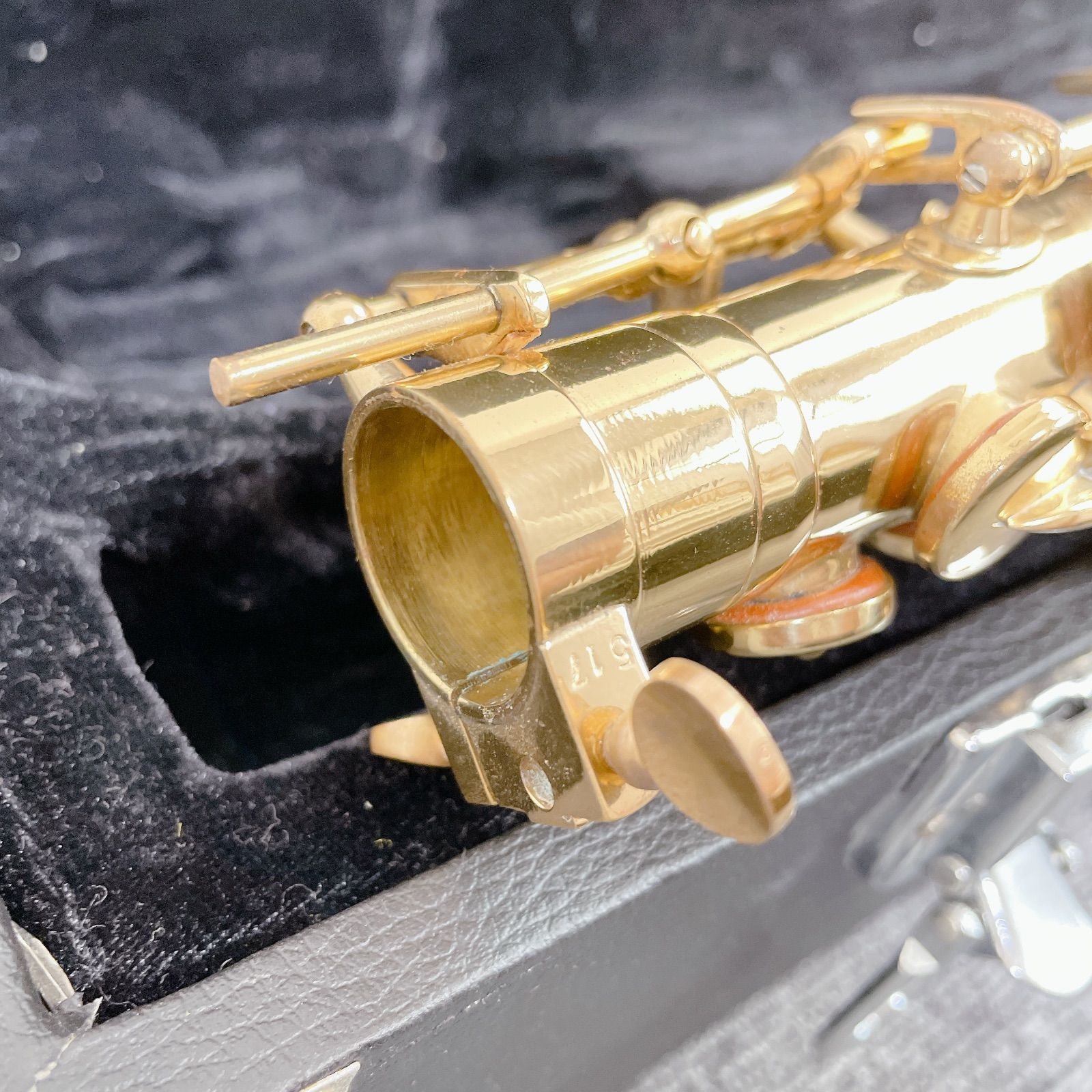 Mavis アルトサックス 彫刻あり 管楽器 セミハードケース メイビス IMPECCABLEHEALTHCARESERVICES_COM