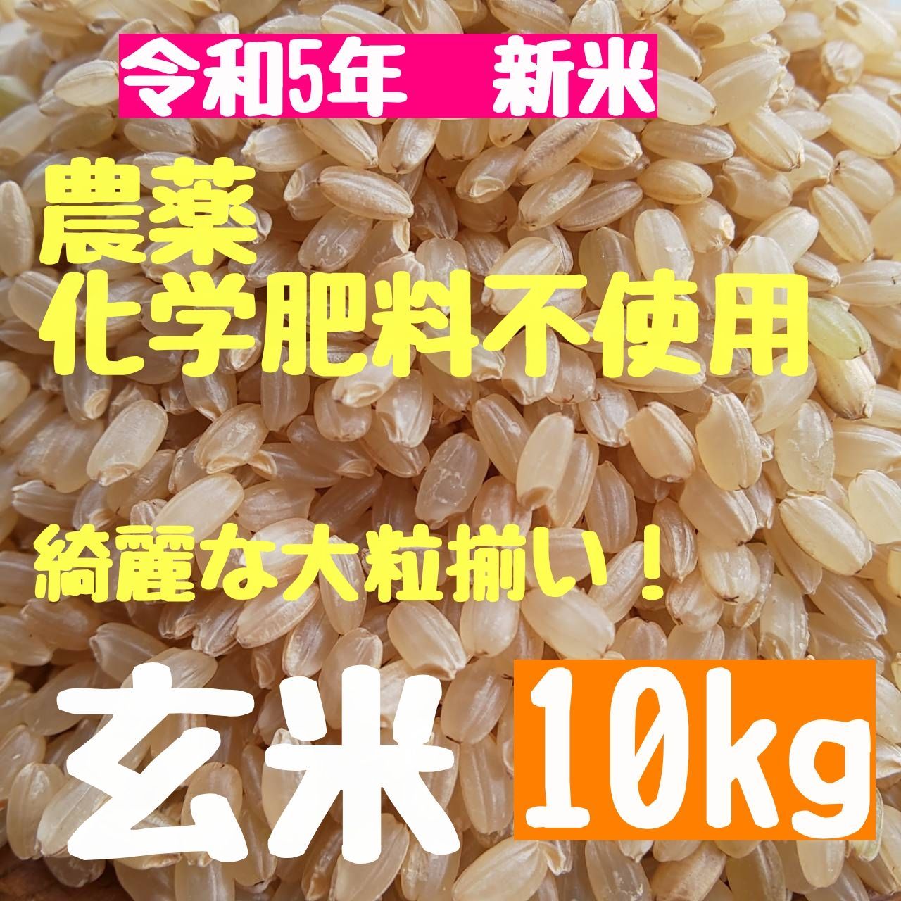 令和5年新米 京都玄米 青米入り にこまる 農薬不使用 有機肥料 10キロ